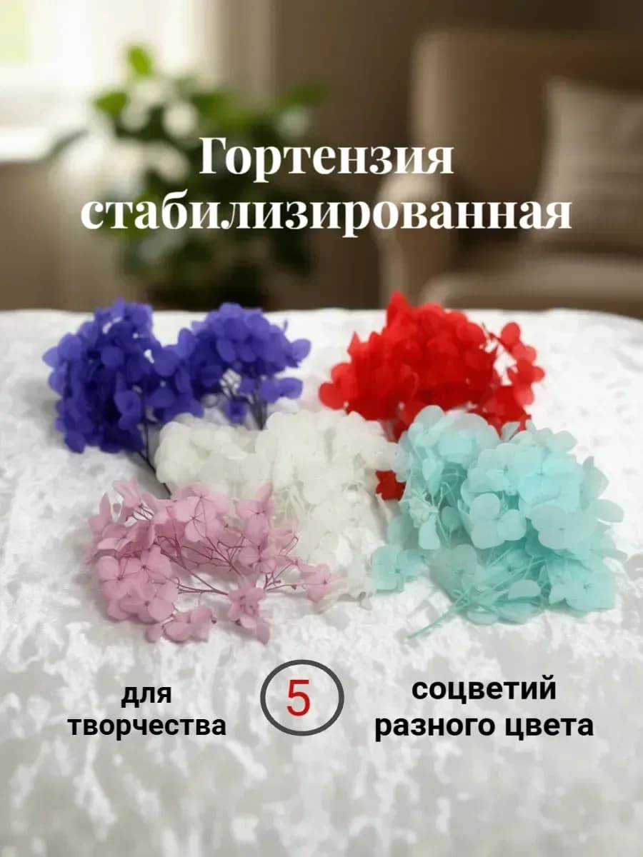 Гортензия стабилизированная, микс 5 цветов